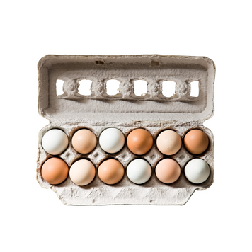 Яйця курячі домашні (10 шт.) ТМ Village Eco Food 1800061 фото