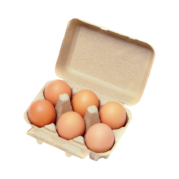 Яйця курячі інкубаційні, 10 шт ТМ Buffalo Village 1800021 фото
